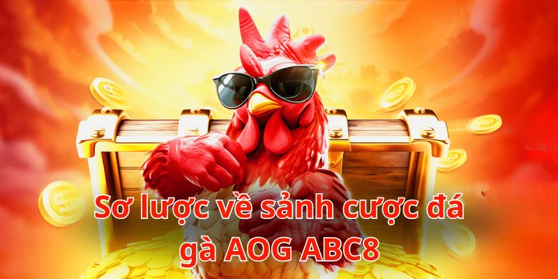 Đá gà AOG ABC8 - Lựa chọn giải trí hàng đầu hiện nay