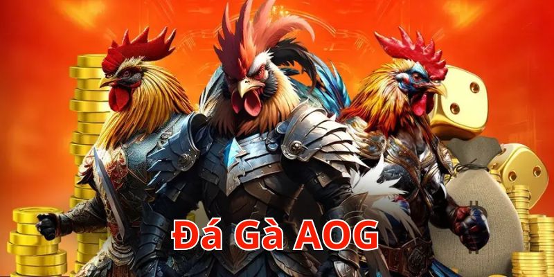 đá gà AOG