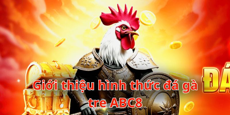 Đá gà tre ABC8 thu hút đông đảo khách hàng tham gia