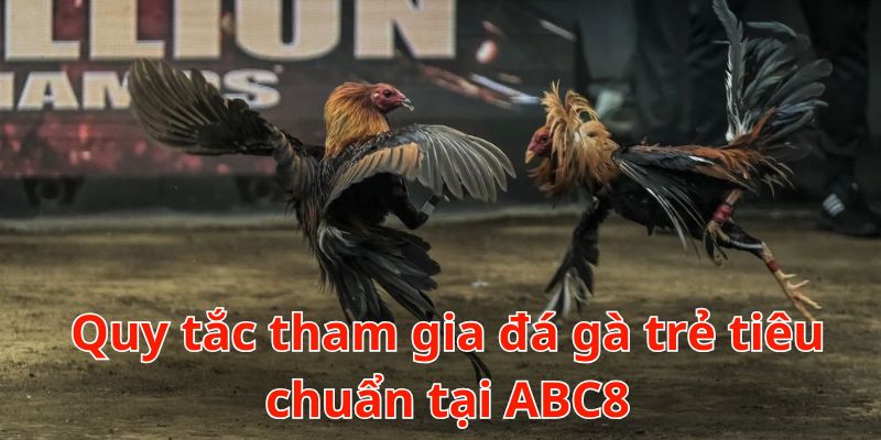 Quy tắc tham gia đá gà trẻ tiêu chuẩn tại ABC8