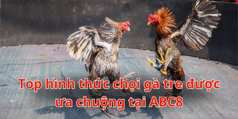 Top 3 hình thức chọi gà ăn nên làm ra tại ABC8